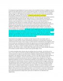 Maltrato hacia los animales