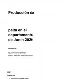 Producción de palta en el departamento de Junín 2020