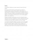 Animales invertebrado