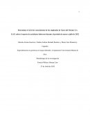 Determinar el nivel de conocimiento de los empleados de Gases del Oriente S.A E.S.P