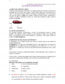 Procedimientos léxico-semánticos: significado de palabras