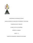 Proceso de ensilaje en plantas forrajeras