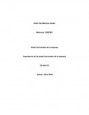 Desarrollado la filosofía organizacional de una empresa