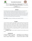 Preparación de alumbre común a partir de desechos de aluminio