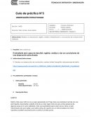 Guía de práctica N°3 Observación estructurada