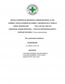 Higiene industrial – Práctica profesionalizante II