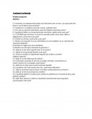 Amistad acelerada. Posibles preguntas