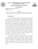 Normas internacionales de informacion financiera (NIIF)