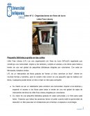 Taller N° 3 - Organizaciones sin fines de lucro . Little Free Library