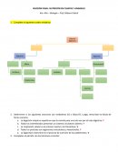 Revisión final: Nutrición en plantas y animales