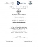 Práctica de laboratorio #4: cambios fisicos y químicos