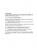 El Brief publicitarlo