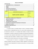 Modelo de manual de la calidad