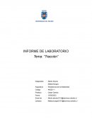 Informe de laboratorio “Tracción”