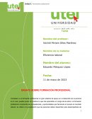 Ensayo sobre formación profesional