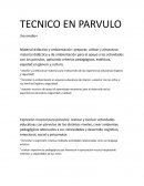 Técnico en parvulo 3ro medio