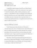 Separar y reciclar en la cocina