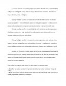 Ensayo de Exposición al Ruido Laboral