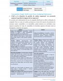 Caso práctico Grupal: Ahold versus Tesco--Analyzing Performance