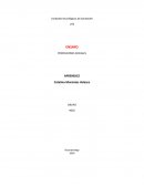 Ensayo de prestaciones sociales