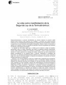 La vida como manifestación de la Segunda Ley de la Termodinámica