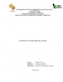 Programa estudios avanzados. Especialización en derecho agrario y ambiental