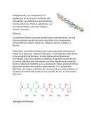 Estrructura de la clasificacion de proteinas