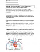 Guía de aprendizaje de ciencias 5°