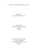 Trabajo reloj programado en editor de Visual Lisp