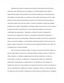 Mitosis y cómo entenderla