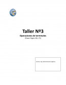 Importación de los terminales en el comercio internacional