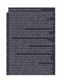 Lineamiento para el desarrollo de la bebida