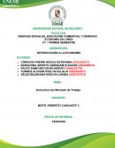 Estructura del Mercado de Trabajo