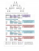 Sexo ligado al genoma humano y como evoluciona a travez del tiempo