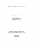 Radiación en la producción y salud