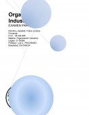 Organizacion industrial