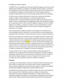 Estrategias para generar ingresos