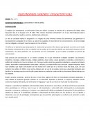 Educacion vial Abriendonos caminos