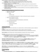 Desarrollo socio afectivo Educacion infantil