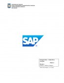 Presentacion del software SAP
