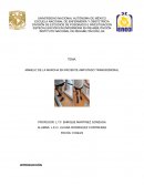 Manejo de prótesis supracondílea en paciente amputado