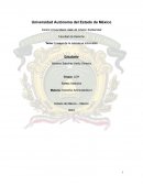 Ensayo de la pelicula el indomable