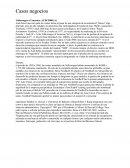 Wolskwagen of America Audi