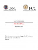 Matriz BCG