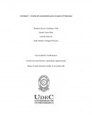 Gestión del conocimiento para la empresa Proinsumos