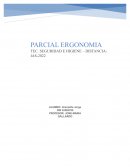 Ergonomia, Sistema y criterio de evaluación