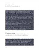 Cimientos Firmes para las Torres