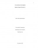 Un recorrido por la Investigación Empresa Calypso del Caribe S.A.