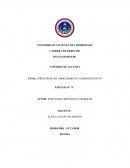 Principios del procedmiento administrativo