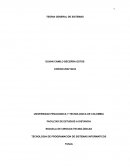 Tecnología de programación de sistemas informáticos